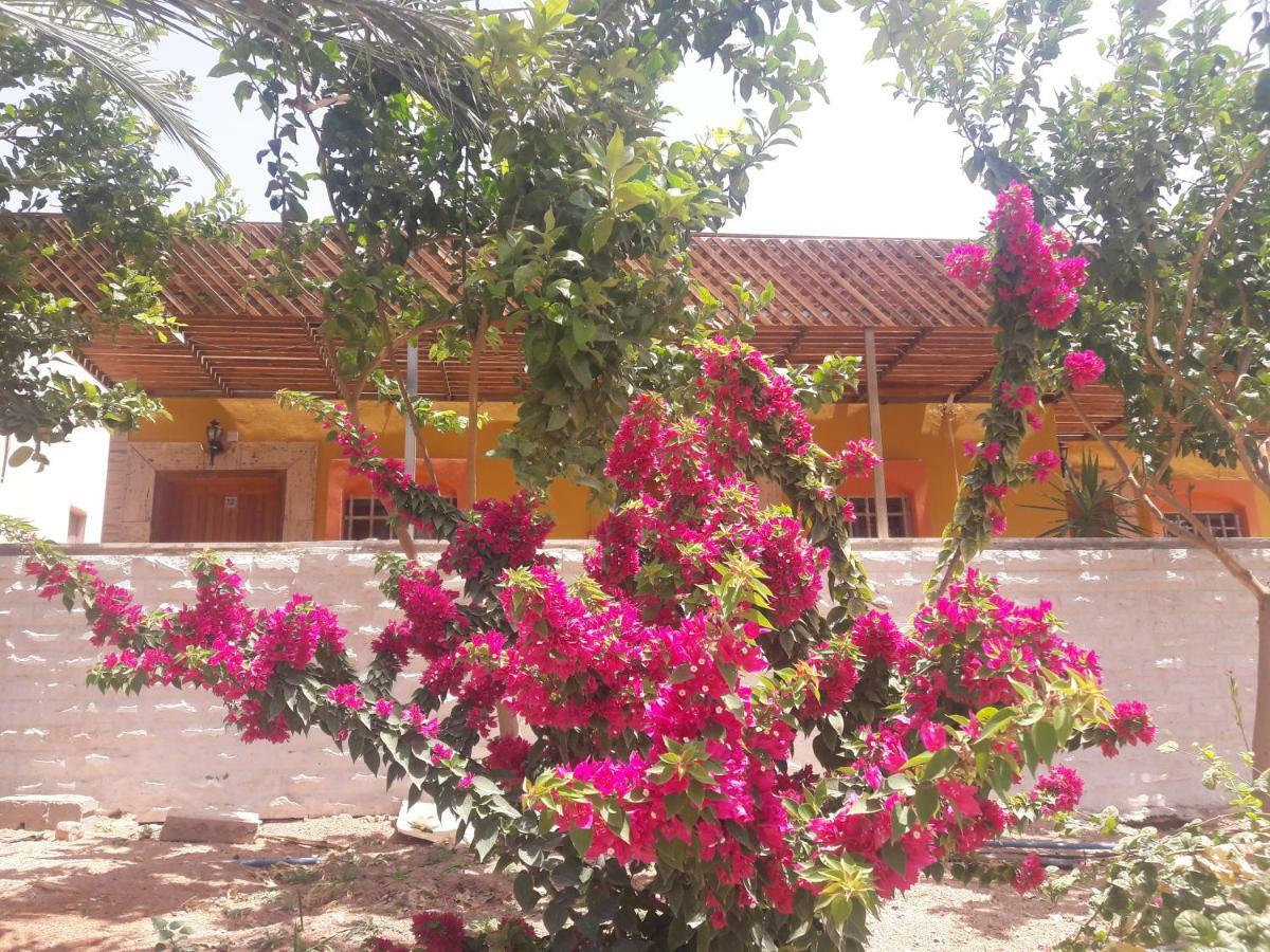 עקבה Darna Divers Village מראה חיצוני תמונה