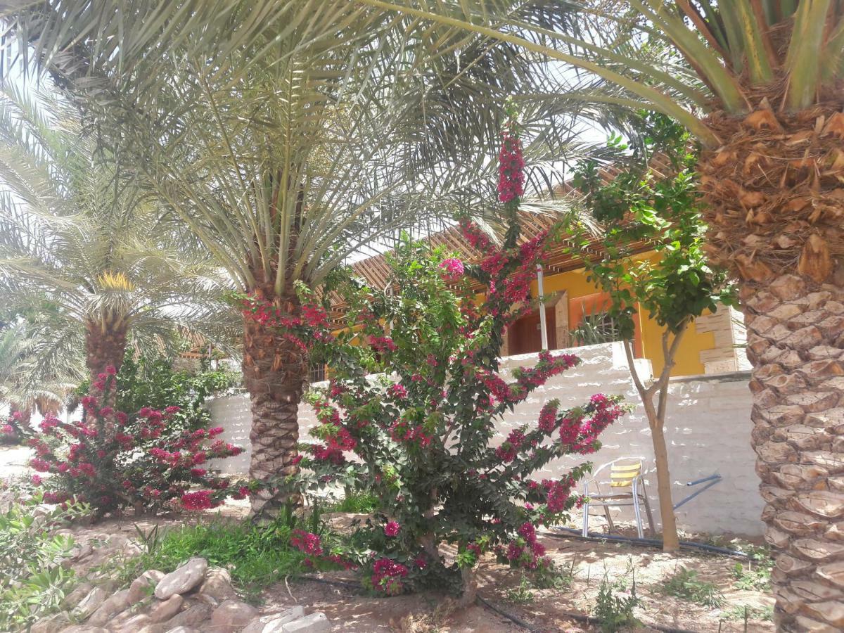 עקבה Darna Divers Village מראה חיצוני תמונה